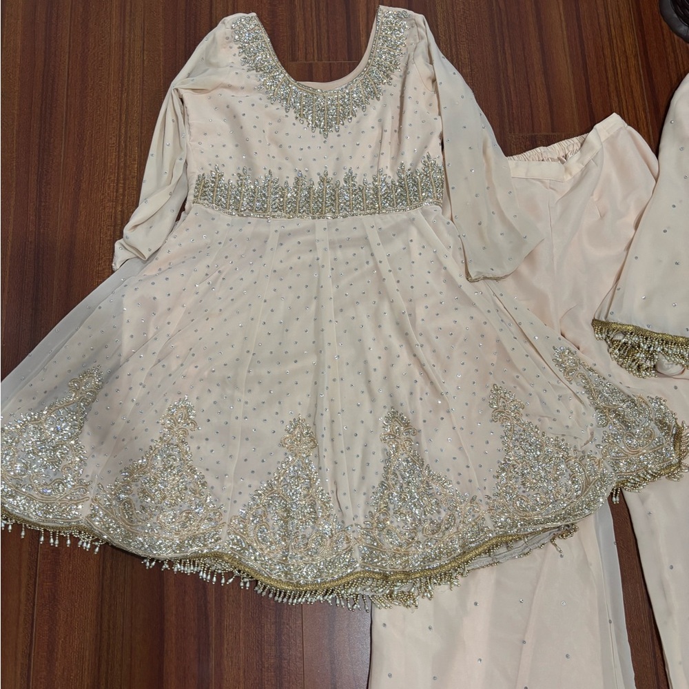 Elegant indian outfit with ambroidry
